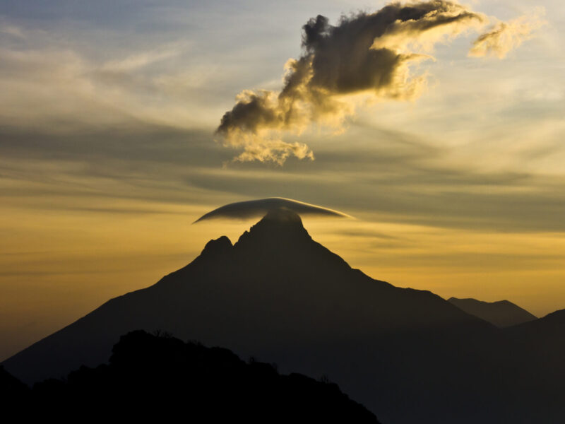 8-Day Kampala to Kigali Primate Safari Package
