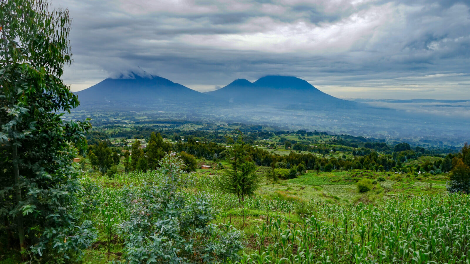 8-Day Rwanda Safari: Volcanoes, Nyungwe Forest and Akagera