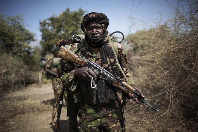 What Is Being Done to Prevent Poaching in Congo?